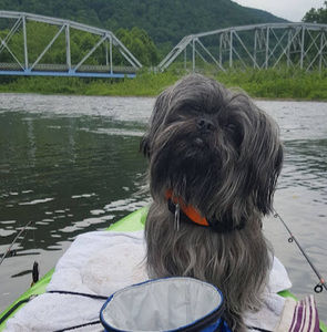 Meet your Posher, Dave